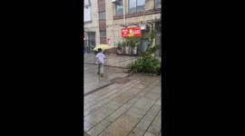 Kind youngster gives his umbrella to shelter dog stuck in rain