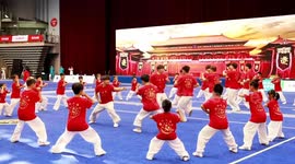 Int'l martial arts practitioners shine at competition in N China