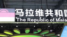 Trade, FDI, respectful engagement strengthen China-Africa partnership for development