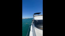 Thrillseeker's INSANE 450-degree jump from boat results in epic belly flop