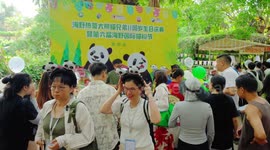 Giant panda bothers' 11th birthday celebrated on China's tropical island
