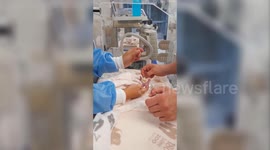 Giant panda Meng Meng gives birth to twins at Berlin zoo