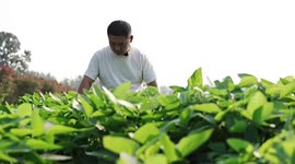 Faces of China: Sowing seeds of hope