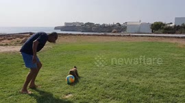 Puppy Playing Football