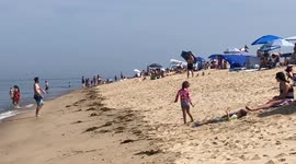 Final Summer Days at Cape Cod