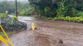 US: Hurricane Hone Brings Heavy Rain, Strong Winds To Hawaii