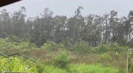 US: Hurricane Hone Brings Heavy Rain, Strong Winds To Hawaii 6