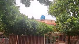 Home farming becomes alternative means of sustenance for Sudan residents