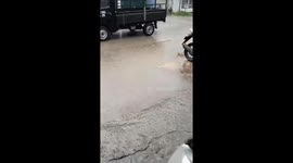Wild crocodile charges into repair shop during rain in Indonesia