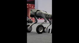 Robotic dog performs somersault stunts at WRC 2024
