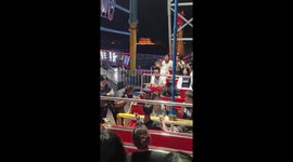 Grandfather attempts to ride swinging ship at amusement park in China
