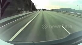 Wild boars cross road and almost collides with passing truck driver