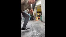 Dancing interrupted by rodent in North Jakarta, Indonesia