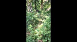 Motorbike load causes fall in rugged terrain