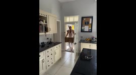 Older dog's heartwarming reaction to meeting new puppy in UK