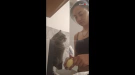 Potato-loving cat tries best to get a raw potato from mom