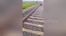 Indian Train driver hits brakes to save man napping on tracks, then move by train driver