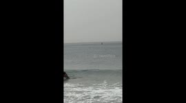 Whale Breaches Right Next to Paddleboarder