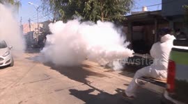 Genetic mutation identified in the dengue mosquito that makes it up to 10 times more resistant to fumigation