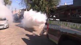 Argentina: Genetic mutation identified in the dengue mosquito that makes it up to 10 times more resistant to fumigation