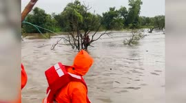 India: Man rescued by NDRF after getting stuck in flooded river in western India