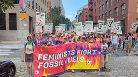 USA: Hundreds of feminists against fossil fuels have marched to the home of Jane Fraser, CEO of top fossil fuel funder Citi