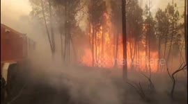 Spain: Firefighters Battle Intense Blaze in A Gudina Amidst Challenging Conditions