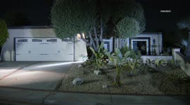 USA: Claremont Bear Breaks Into Home as Homeowner Bakes Cookies