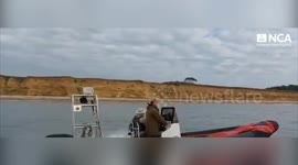 UK: £39 Million Cocaine Seizure, Two Men Convicted After Dramatic Sea Chase