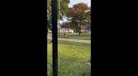 Danny DeVito Cutout Watches the Neighborhood