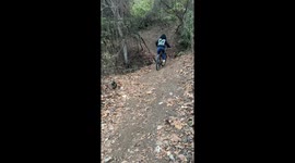 Woman Falls Off Mountain Bike