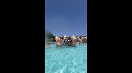 Wave Crashes Family Photo