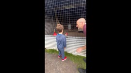 A gentle little introduction to the “birds and bees” for my son.
