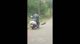 Motorcycle rider chases away escaped bull with an axe