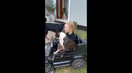 Child drives toy car with dog in Lusaka, Zambia