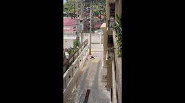 Resident shocked by drunk backpacker sleeping outside condo