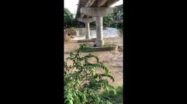 Teenager stuck under bridge when river surges rescued by locals