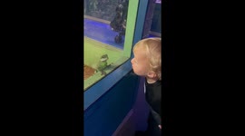 Young boy shows interest in learning about reptiles at a petting zoo