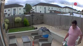 Staffy scared by a neighboring dog, finds comfort in mom's arms