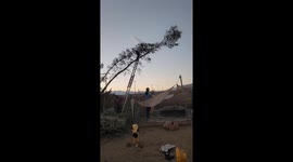 Man Falls Into Chicken Coop While Trimming Tree