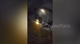 Rescue teams use sniffer dogs in search for survivors trapped in train tunnel collapse in Thailand