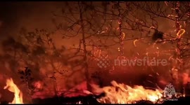 Crimea: Firefighters Evacuating Locals And Putting Out Massive 150-Hectare Forest Fire