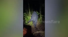 Rescue teams search for French boy, 14, who went missing while hiking with family in Bali