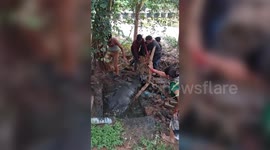Brave rescuers save stranded cow from filthy sewage tank in central India
