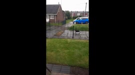Cat brings home bath sponge in Doncaster, England