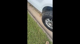 Thermos explosion shatters windshield in Hernando, Mississippi