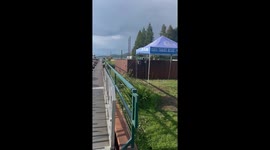 Bear Visits Lake Tahoe Dock