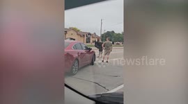 Ostrich on the loose stands firmly in the middle of busy road - halting traffic