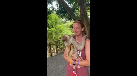 Girl lives her dream moment while holding a sloth for the first time