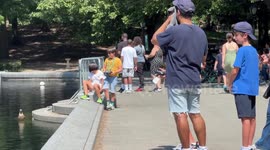 NYC Heat Wave – Central Park